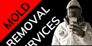 CHILLIWACK MOLD REMOVAL SERVICES