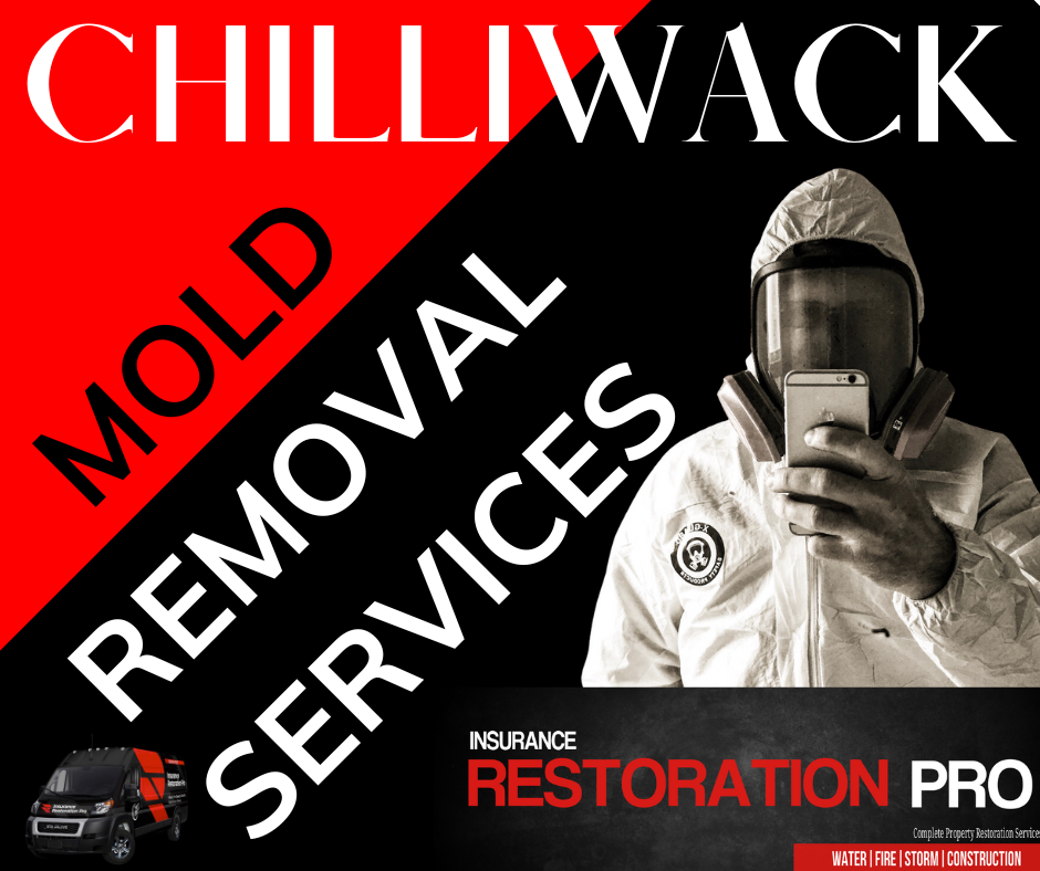 CHILLIWACK MOLD REMOVAL SERVICES 1 1 Mold Remediation in Chilliwack: Minimizing Risks and Creating Solutions with IRPRO Restoration